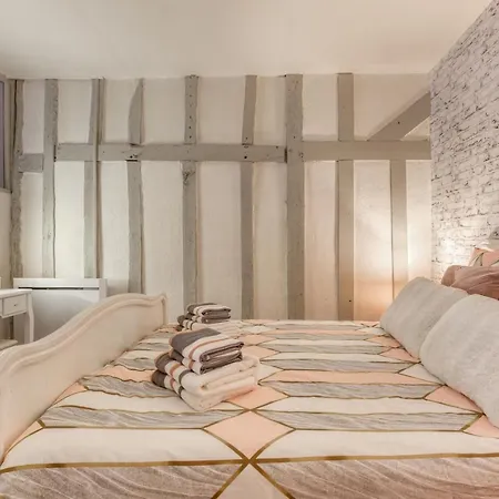 Apartment L'Ecrin De Champagne - Hypercentre Troyes - Chaleureux Appartement - Wifi Troyes