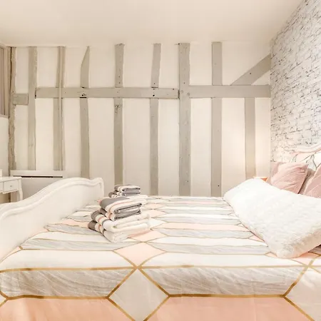 L'Ecrin De Champagne - Hypercentre Troyes - Chaleureux Appartement - Wifi * Troyes