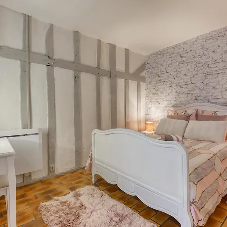 Apartment L'Ecrin De Champagne - Hypercentre Troyes - Chaleureux Appartement - Wifi Troyes