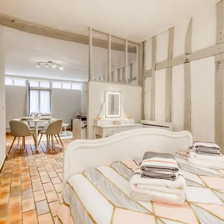 Apartment L'Ecrin De Champagne - Hypercentre Troyes - Chaleureux Appartement - Wifi Troyes